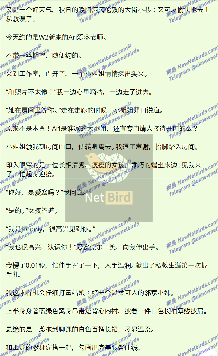 戰號 576 3.png